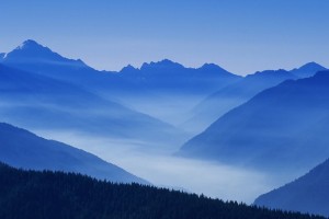 世界游泳锦标赛开启市民观赛体验日活动，世界游泳锦标赛在哪举行